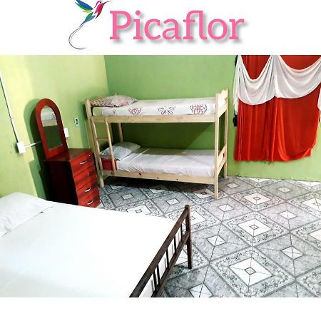 Alojamiento Picaflor Iguazu Vandrarhem Puerto Iguazú Exteriör bild
